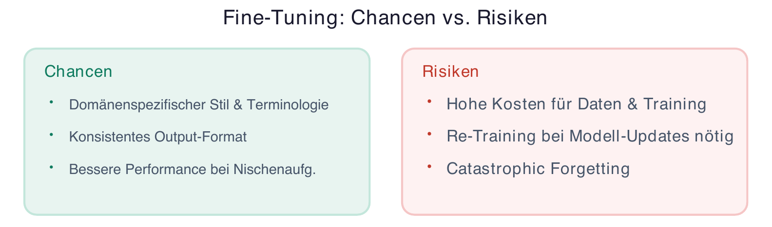 Fine-Tuning: opportunities and risks